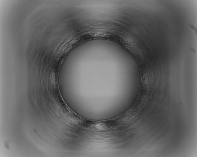 X0000100780506200807101819