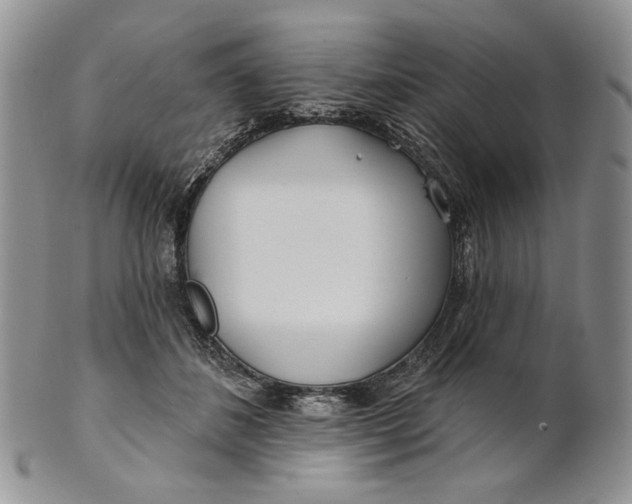 X0000100780508200807101819