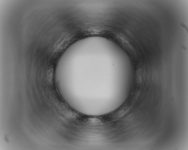 X0000100780509200807101819