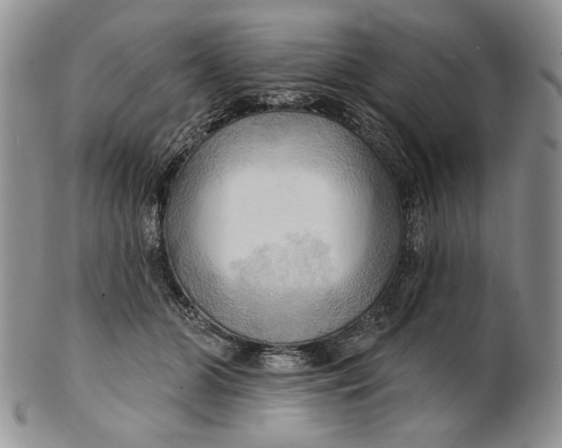 X0000100780510200807101819