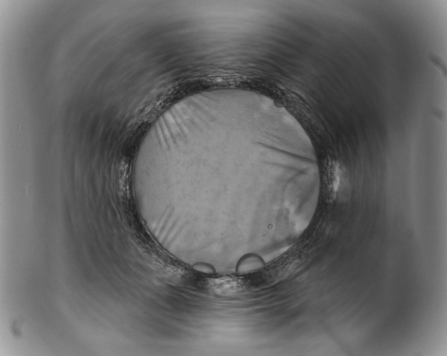 X0000100780511200807101819