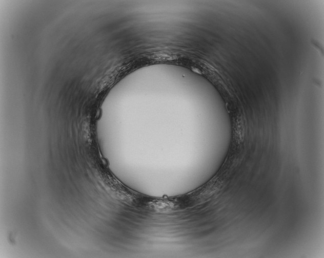 X0000100780512200807101819