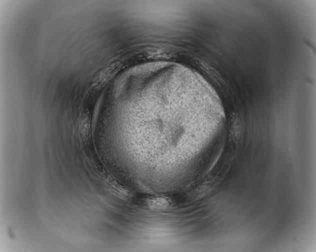 X0000100780513200807101819