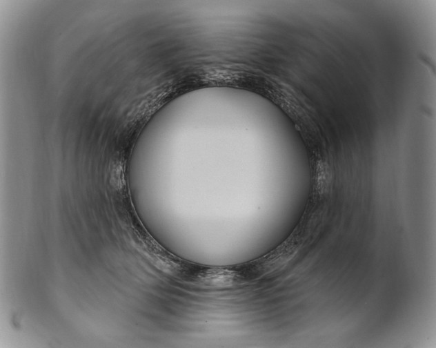 X0000100780514200807101819