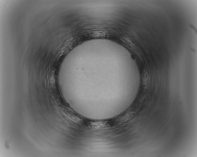 X0000100780516200807101819