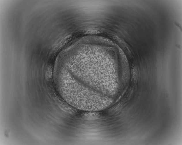 X0000100780517200807101819