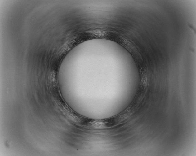 X0000100780518200807101819