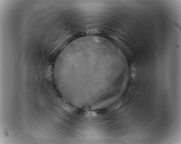 X0000100780519200807101819