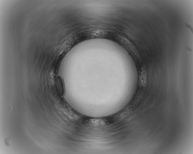 X0000100780520200807101819