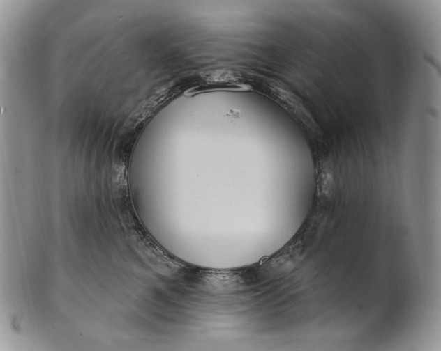 X0000100780521200807101819