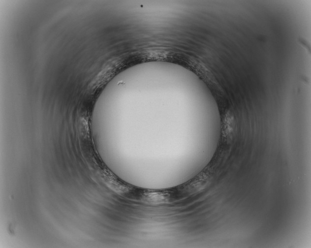 X0000100780522200807101819