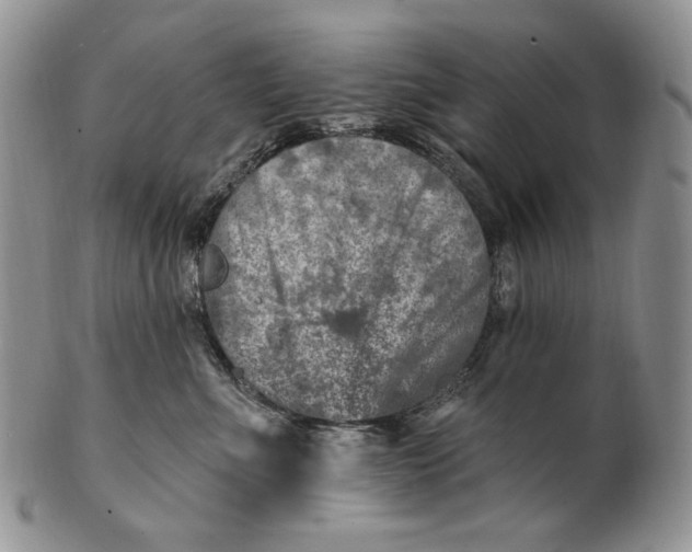 X0000100780523200807101819