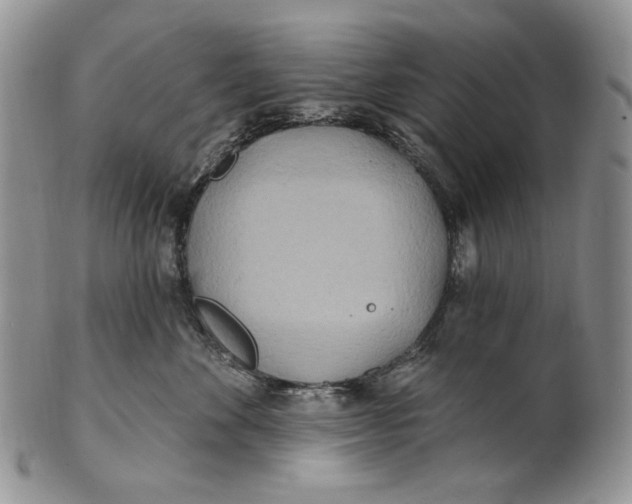 X0000100780524200807101819