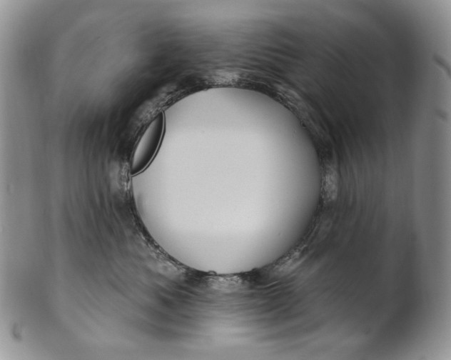 X0000100780525200807101819