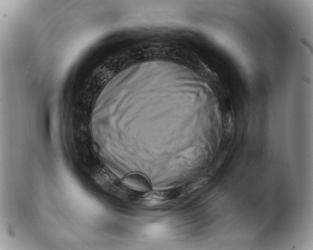 X0000100780526200807101819