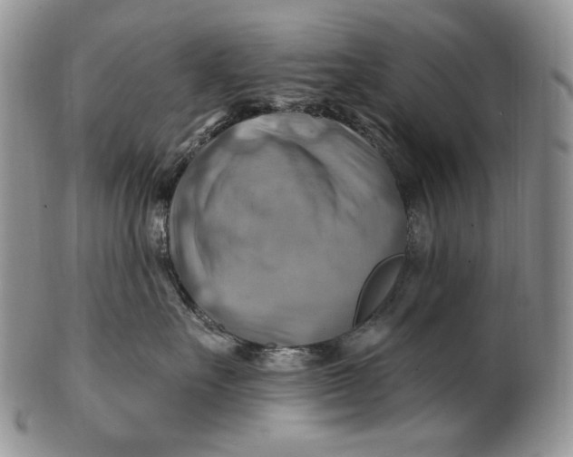 X0000100780527200807101819