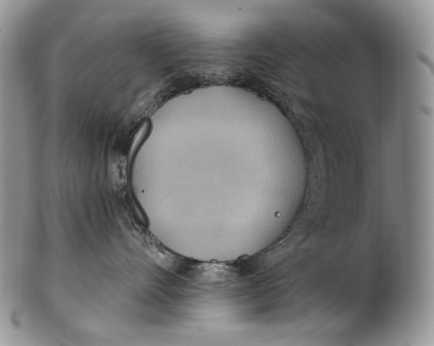 X0000100780528200807101819