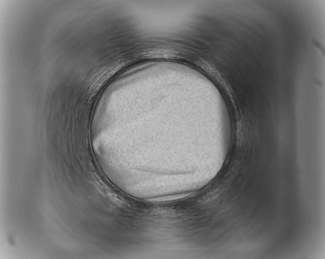 X0000100780529200807101818