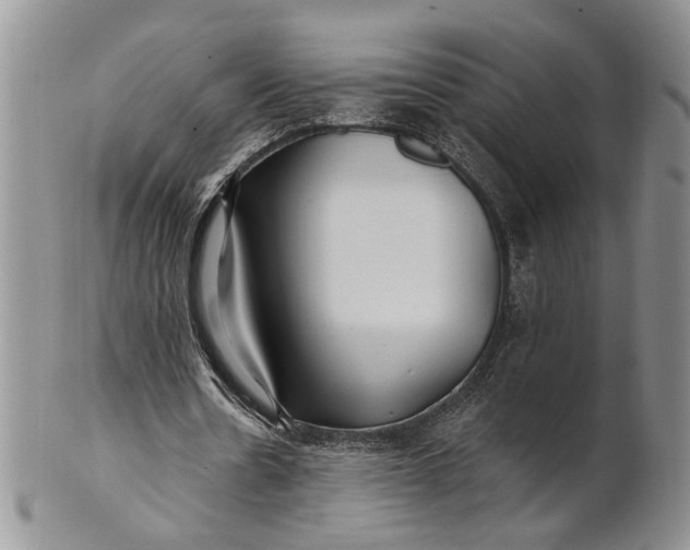 X0000100780530200807101818