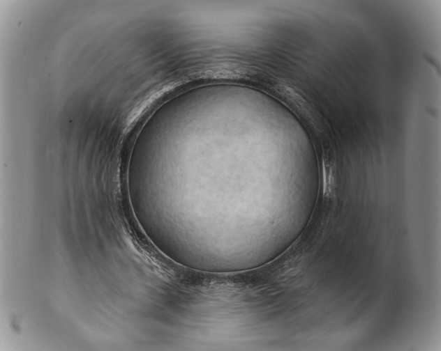 X0000100780531200807101818