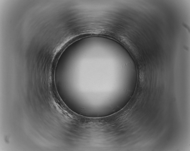 X0000100780532200807101818