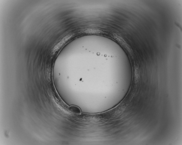 X0000100780533200807101819