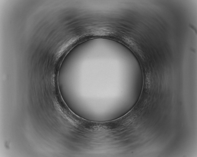 X0000100780535200807101819