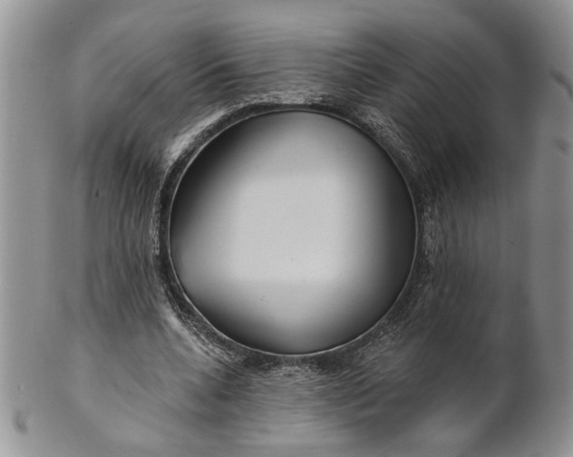 X0000100780536200807101819