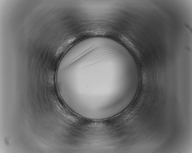 X0000100780537200807101819