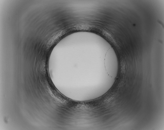 X0000100780538200807101819