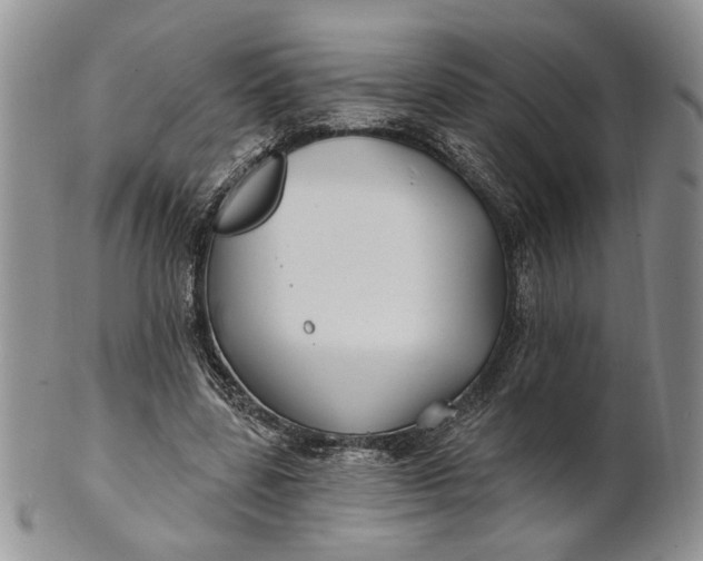 X0000100780539200807101819