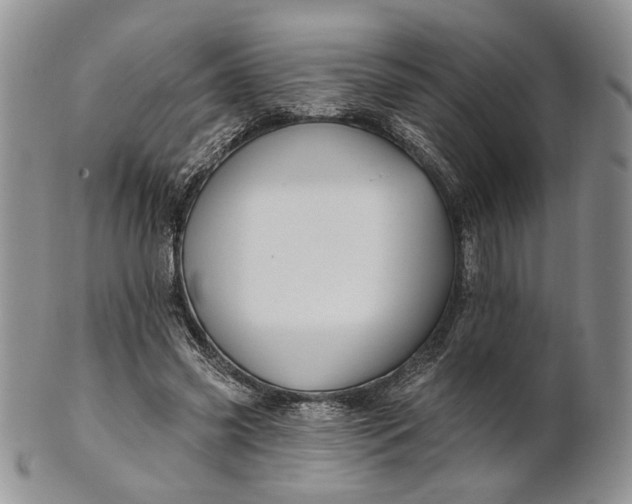 X0000100780541200807101819