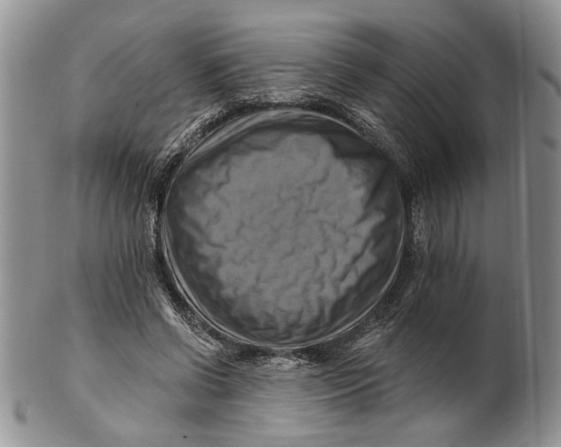 X0000100780542200807101819