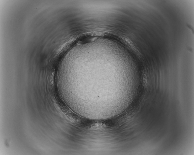 X0000100780543200807101819