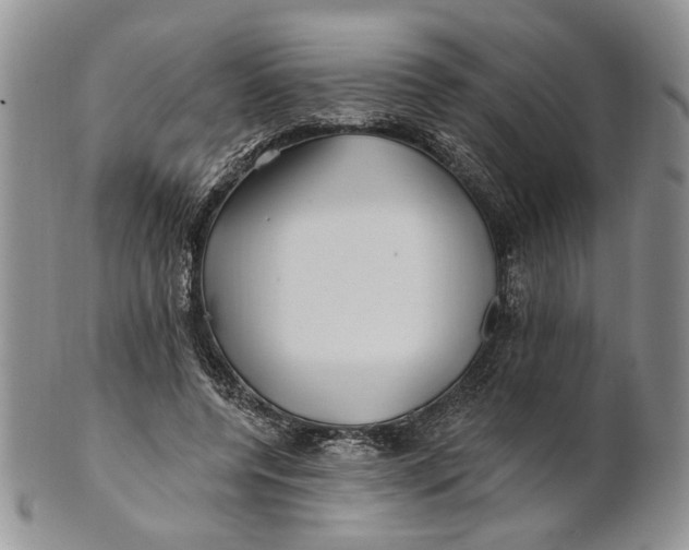 X0000100780544200807101819