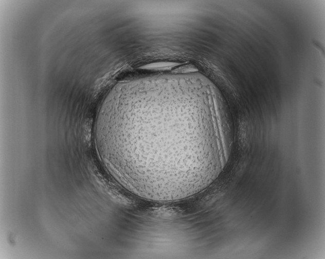 X0000100780545200807101819