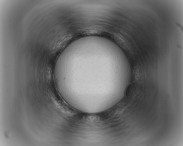 X0000100780546200807101819