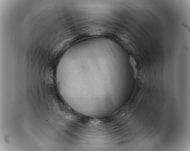 X0000100780547200807101819