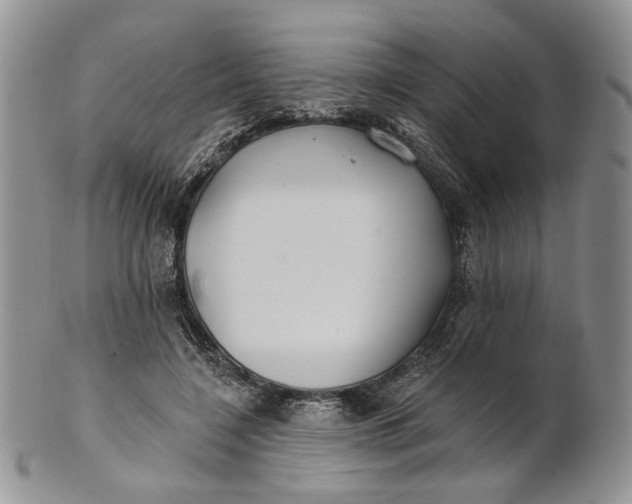 X0000100780548200807101819