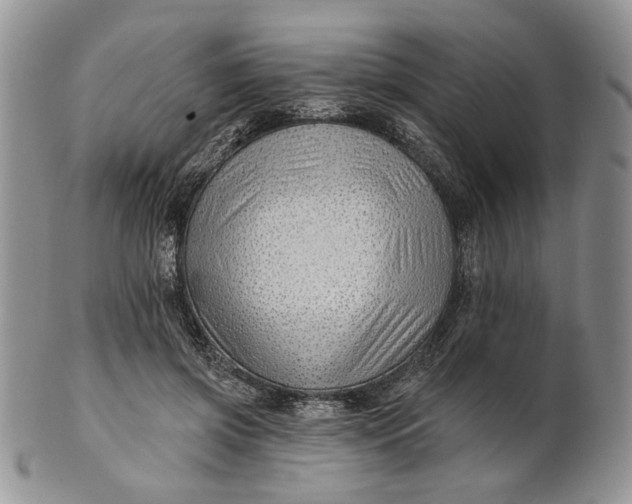 X0000100780549200807101819