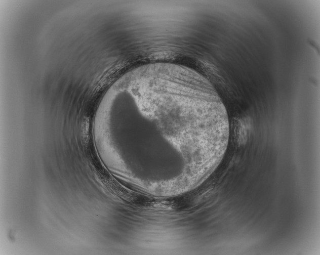 X0000100780550200807101819