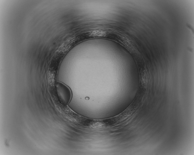 X0000100780551200807101819