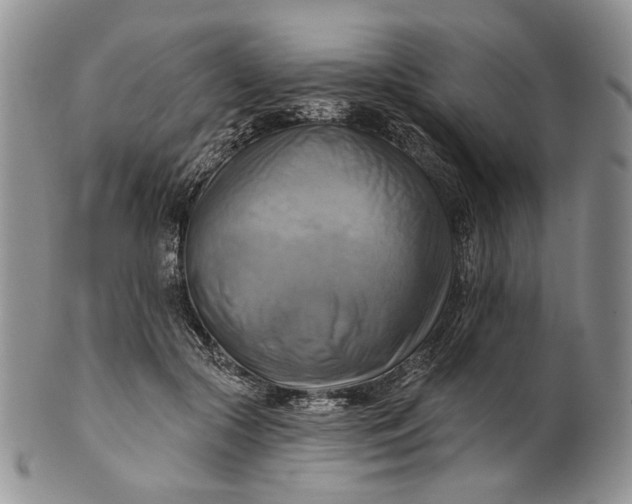 X0000100780553200807101819