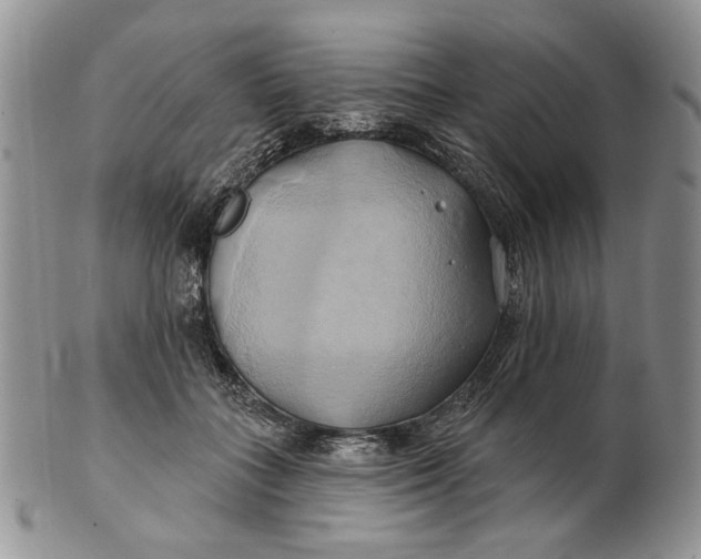 X0000100780555200807101819