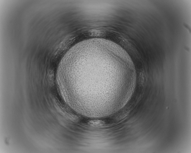 X0000100780557200807101819