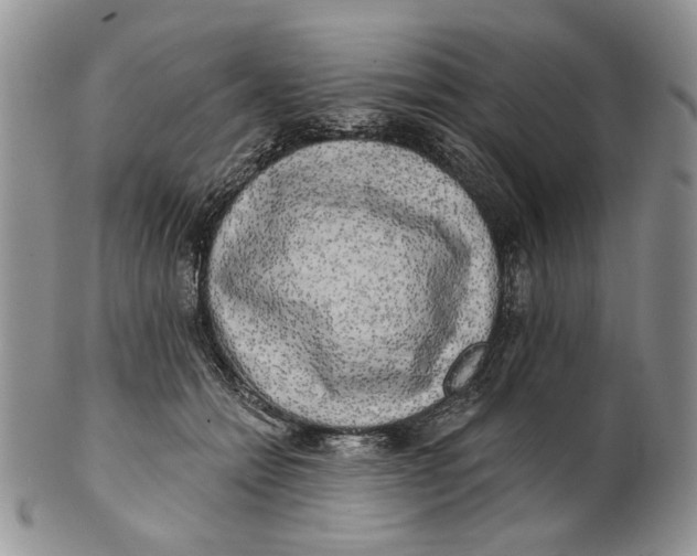 X0000100780558200807101819