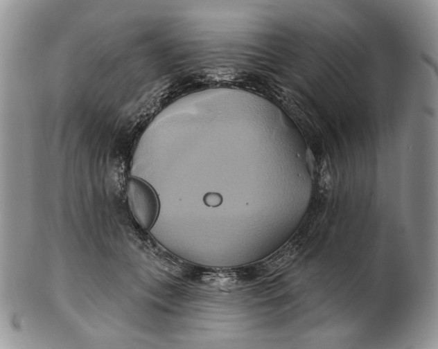 X0000100780559200807101819