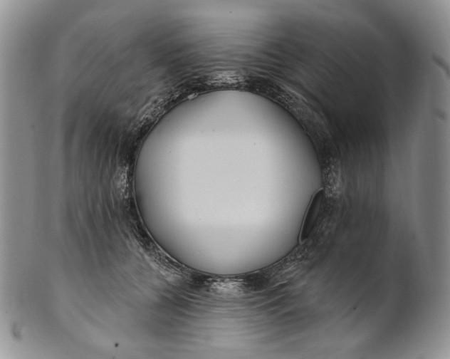 X0000100780560200807101819