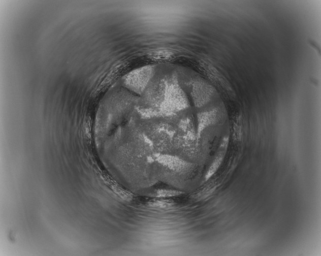 X0000100780561200807101819