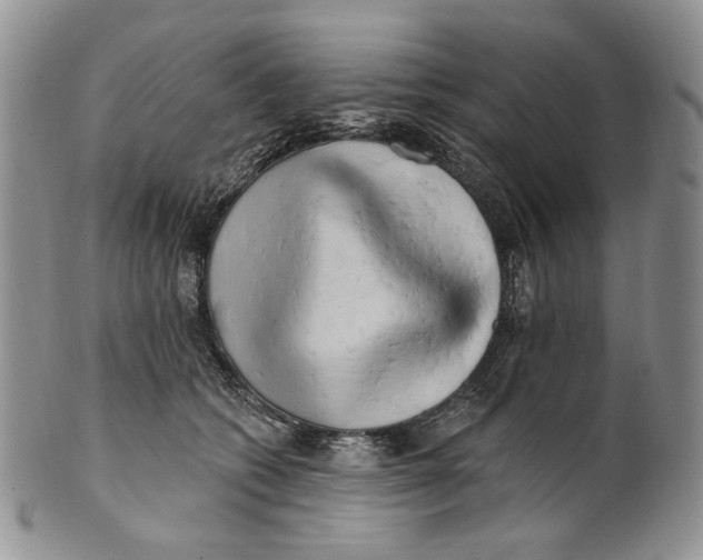 X0000100780562200807101819